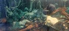 Sprzedam Alwarium - 4