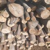 Drewno bukowe suche - 2
