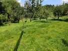 Sprzedam działkę BUDOWLANĄ położoną u PODNÓŻA GÓRY ŚW.ANNY - 10