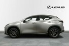 Lexus NX 350h AWD 242KM Business - 2