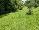 Sprzedam działkę BUDOWLANĄ położoną u PODNÓŻA GÓRY ŚW.ANNY - 2