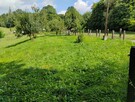 Sprzedam działkę BUDOWLANĄ położoną u PODNÓŻA GÓRY ŚW.ANNY - 9