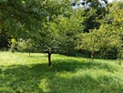 Sprzedam działkę BUDOWLANĄ położoną u PODNÓŻA GÓRY ŚW.ANNY - 12
