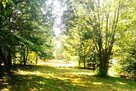 Działka na sprzedaż - 4
