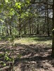 Działka inwestycyjna Przyborowo gm. Łubowo, - 5