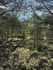 Działka inwestycyjna Przyborowo gm. Łubowo, - 7