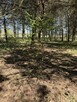 Działka inwestycyjna Przyborowo gm. Łubowo, - 10