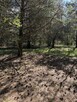 Działka inwestycyjna Przyborowo gm. Łubowo, - 11
