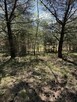 Działka inwestycyjna Przyborowo gm. Łubowo, - 12