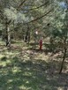 Działka inwestycyjna Przyborowo gm. Łubowo, - 13