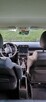 Citroen c3 aircross Sprzedam Zamienię na Busa, coś wiekszego - 1
