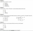korepetycje - matematyka, fizyka i informatyka 60 min - 3