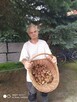 Znajdź mnie dziś, na jutro, na stałe - 2