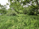 Działka budowlana Sokołów Podlaski - 5
