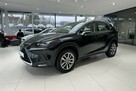 Lexus NX 300h Business Edition 4x4, salon PL, navi, FV-23%, gwarancja, 1wł - 1