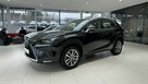 Lexus NX 300h Business Edition 4x4, salon PL, navi, FV-23%, gwarancja, 1wł - 2