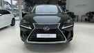 Lexus NX 300h Business Edition 4x4, salon PL, navi, FV-23%, gwarancja, 1wł - 7