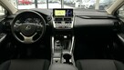 Lexus NX 300h Business Edition 4x4, salon PL, navi, FV-23%, gwarancja, 1wł - 14