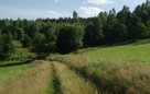 Działka inwestycyjna Kamieńczyk gm. Międzylesie - 2