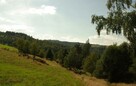 Działka inwestycyjna Kamieńczyk gm. Międzylesie - 3