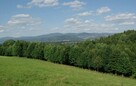 Działka inwestycyjna Kamieńczyk gm. Międzylesie - 4