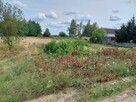 Sprzedam ładną działkę rolno - budowlaną - 2