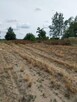 Sprzedam ładną działkę rolno - budowlaną - 3
