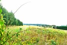 Siedlisko na sprzedaż - 3
