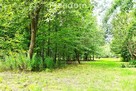 Działka na sprzedaż - 1