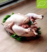 Tuszka kurczaka pastwiskowego 4kg - 2