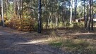 Działka leśna budowlana Radzymin Rejentówka - 12