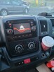 Citroen jumper - 2