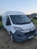 Citroen jumper - 5