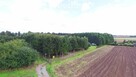Piękny dom  w otoczeniu własnego lasu w Charzynie - 14