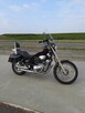 Sprzedam yamaha virago 700 - 3