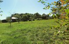 Ładna działka 970m2, Łapiguz. 1 km od Zamościa - 11