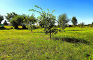 Ładna działka 970m2, Łapiguz. 1 km od Zamościa - 15