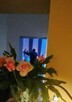 Wesela, komunie, stypy, urodziny - 6