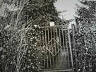 Sprzedam działkę z zabudową mieszkalną - 1