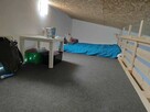 Działka rekreacyjna Włocławek ogród Wiosenka Rybnica - 5