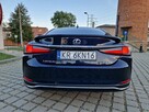 Lexus ES300 Salon Polska. Serwisowany w ASO. Bezwypadkowy. Wersja Omotenashi - 7