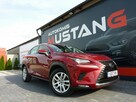 Lexus NX 300H 2.5 Benzyna 155Ps HYBRYDA*Navi*Kamera*Grzana Skóra*Asystenty - 3