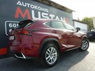 Lexus NX 300H 2.5 Benzyna 155Ps HYBRYDA*Navi*Kamera*Grzana Skóra*Asystenty - 4