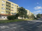Lokal handlowy / usługowy w Nowogardzie - 9