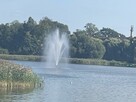 Lokal handlowy / usługowy w Nowogardzie - 11