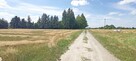 Sprzedam działkę 30 km od Lublina - 3