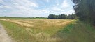 Sprzedam działkę 30 km od Lublina - 7
