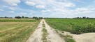 Sprzedam działkę 30 km od Lublina - 5