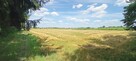 Sprzedam działkę 30 km od Lublina - 8