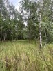 Działka leśna / las Rożno-Parcele, gm. Aleksandrów Kujawski - 5